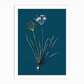 Vintage Allium Straitum Black and White Gold Leaf Floral Art on Teal Blue n.0066 Art Print