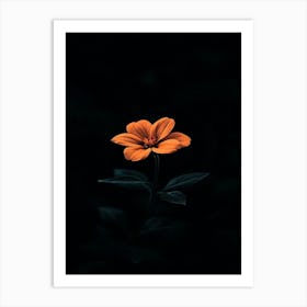 Orange Flower 8 Art Print