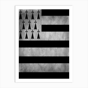 Brittany Flag Texture Art Print