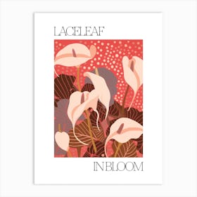 Laceleaf In Bloom Flowers Bold Illustration 1 Art Print