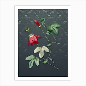 Vintage Red Passion Flower Botanical on Slate Gray Pattern n.0711 Art Print