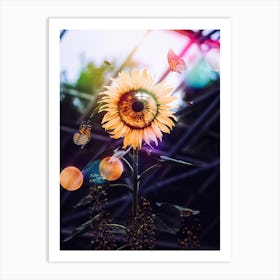 The Eye Of The Sunflower Art Print