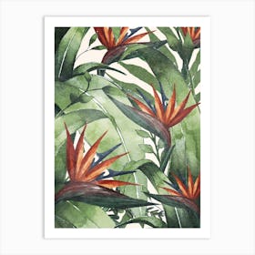 Tropical Flora I Art Print