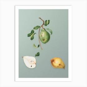 Vintage Pear Botanical Art on Mint Green Art Print