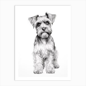 Miniature Schnauzer Dog, Line Drawing 4 Art Print