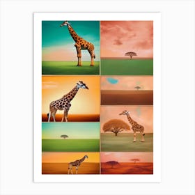 Giraffes 1 Art Print