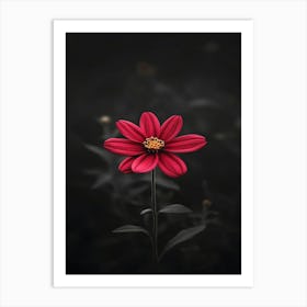 Dark Flower 10 Art Print