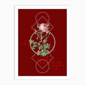 Vintage Celery Leaved Cabbage Rose Botanical with Geometric Line Motif and Dot Pattern n.0184 Art Print