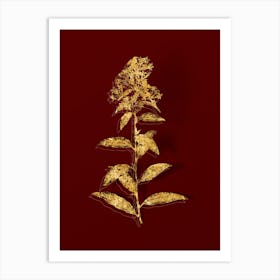 Vintage Green Cestrum Botanical in Gold on Red n.0213 Art Print