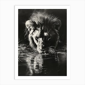 African Lion Charcoal Drawing Drinking From A Watering Hole 4 Art Print
