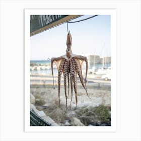 Dried Octopus Hanging Outdoors Art Print