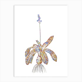 Stained Glass Scilla Lilio Hyacinthus Mosaic Botanical Illustration on White Art Print
