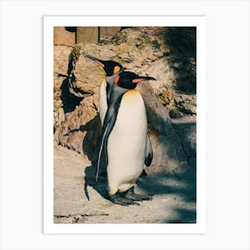 Penguins At The Zoo 1 Art Print