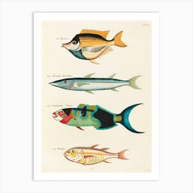 Colourful And Surreal Illustrations Of Fishes Found In Moluccas (Indonesia) And The East Indies, Louis Renard(32) Art Print