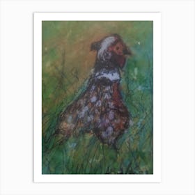 Pheasant Art Print