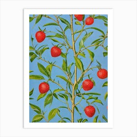 Strawberry Vintage Botanical Fruit Art Print