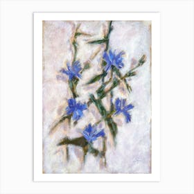 Blue Cornflowers Chicory Art Print