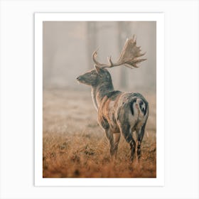 Misty Forest Deer Art Print