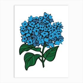 Blue Hydrangea Contemporary Botanical Illustration Art Print