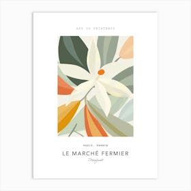 Starfruit Le Marche Fermier Poster 3 Art Print