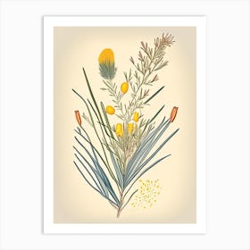 Ephedra Spices And Herbs Retro Drawing 1 Art Print