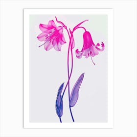 Hot Pink Bluebell 1 Art Print