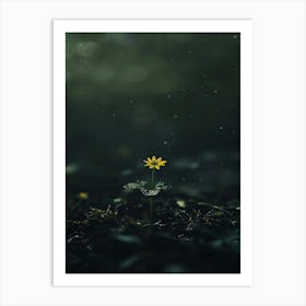 Flower In The Dark 71 Art Print