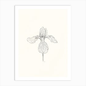 Iris Ink Drawing Art Print