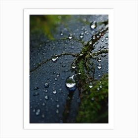 Moss And Water Droplets Art Print