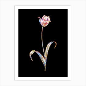 Stained Glass Didier's Tulip Mosaic Botanical Illustration on Black n.0316 Art Print