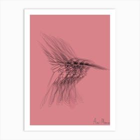 Colibri004 Art Print