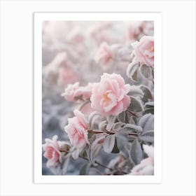 Frosty Botanical Camellia 4 Art Print