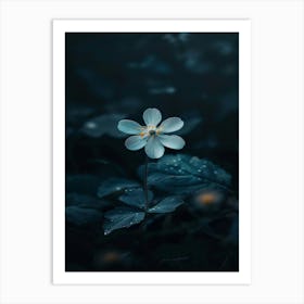 Dark Blue Flower 12 Art Print