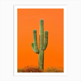 Saguaro Cactus 3 Art Print