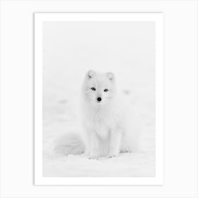 White Arctic Fox Art Print