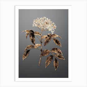 Gold Botanical Elderberry Flowering Plant on Soft Gray n.3805 Art Print