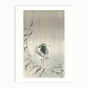 Kwak In Rain (1900 1936), Ohara Koson Art Print