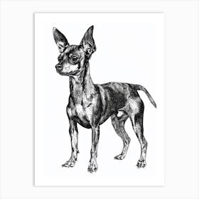 Miniature Pinscher Dog Line Sketch 2 Art Print