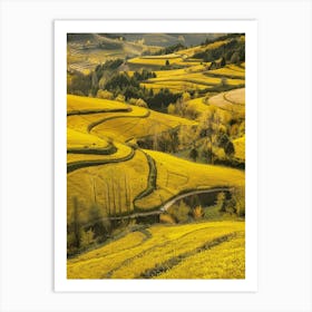 Yellow Rice Fields In China Art Print