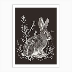 Californian Rabbit Minimalist Illustration 3 Art Print
