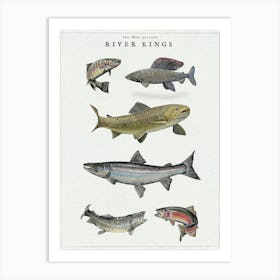 River Kings - Fish Angling Art Print Art Print