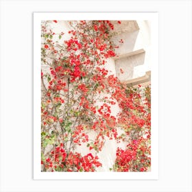 Summer red bougainvillea flowers in Cascais, Portugal - floral nature and travel photography by Christa Stroo Photography. Art Print