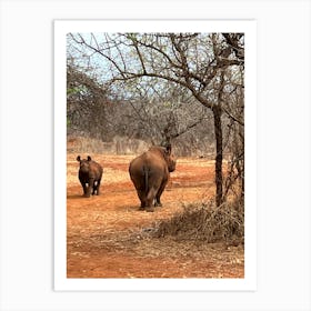 Rhinos In The Wild Art Print