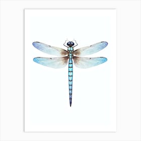 Dragonfly Darner Aeshna 3 Art Print