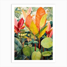 Tropical Plant Painting Rubber Tree Plant 3 Art Print