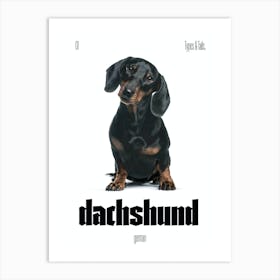 Dachshund - Dog - German - Typography - Art Print - Retro - Canine - White & Black - Minimalist  Art Print