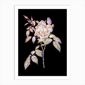 Stained Glass Fragrant Rosebush Mosaic Botanical Illustration on Black n.0001 Art Print