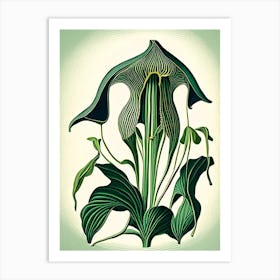 Jack In The Pulpit Wildflower Vintage Botanical 2 Art Print