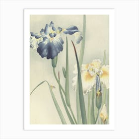 Japanese Ukiyo-E Iris By Yoshitsu Art Print