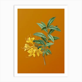 Vintage Yellow Azalea Botanical on Sunset Orange n.0523 Art Print